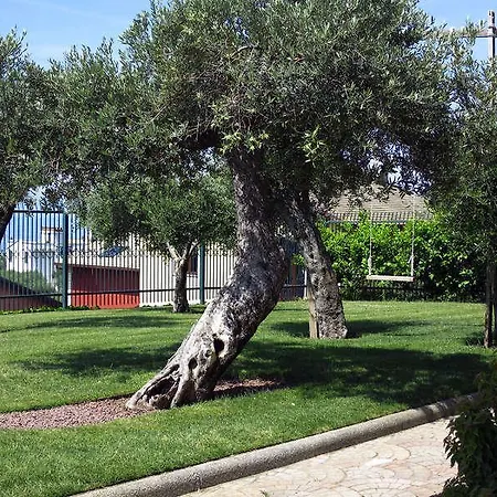 Casa Carlotta Διαμέρισμα